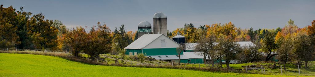 Farm in Bradford Ontario