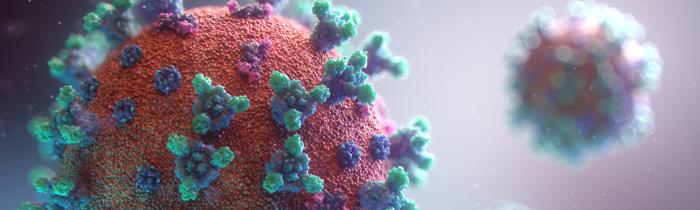 COVID-19 Virus Particle